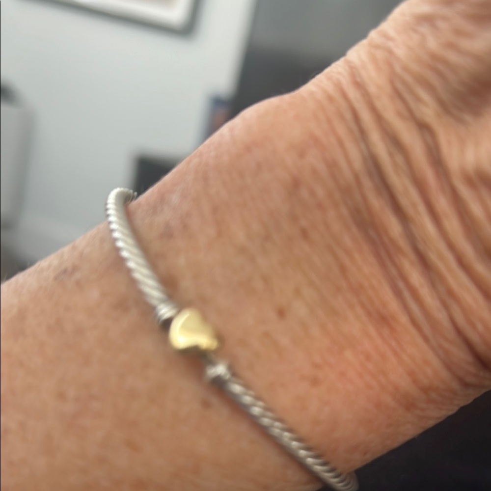 David Yurman Silver and Gold Twisted Rope Bracelet
